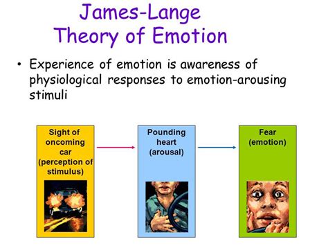 The james lange theory of emotion suggests that emotions are - Sep 17, 2020 · The Schacter-Singer theory draws on elements of both James-Lange theory and Cannon-Bard theory, proposing that physiological arousal occurs first but that such reactions are often similar for different emotions. The theory suggests that the physiological reactions must be cognitively labeled and interpreted as a particular emotion. 